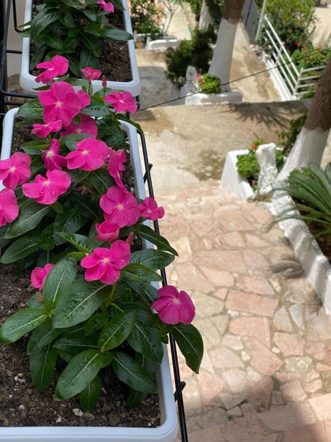 Apartamente Berti`s Garden Sarandë Exterior foto