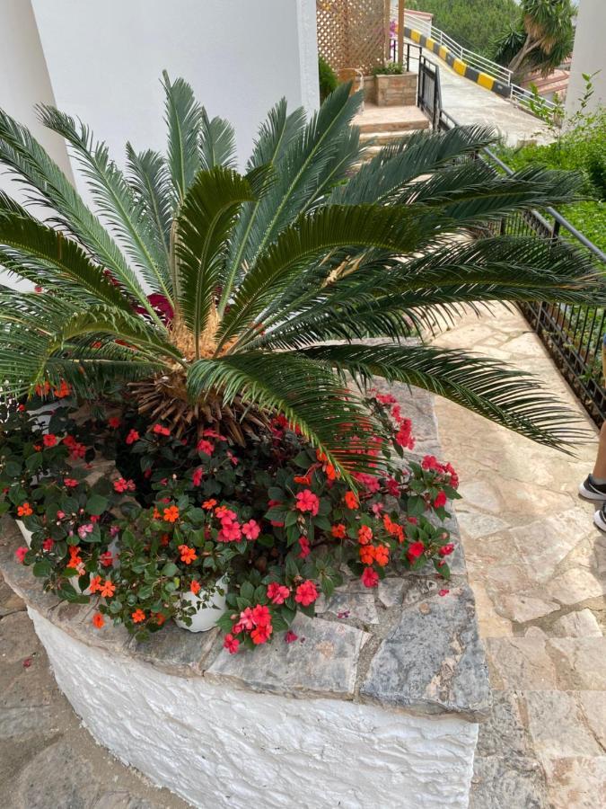 Apartamente Berti`s Garden Sarandë Exterior foto